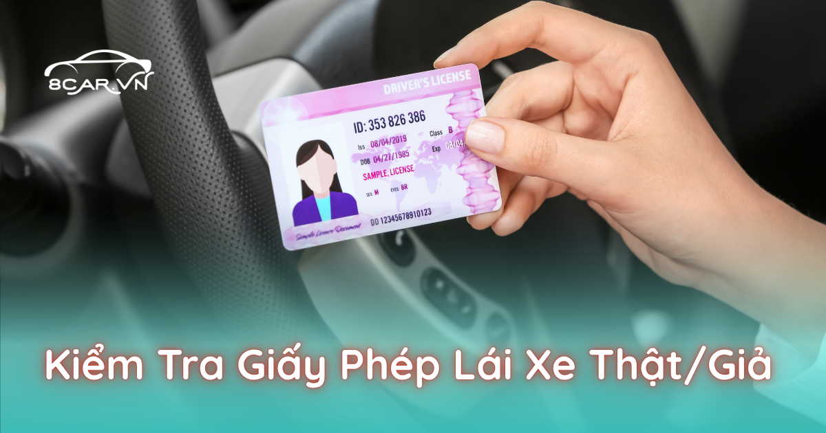 Kiểm Tra Giấy Phép Lái Xe Thật/Giả Trước Khi Giao Xe – Chủ Xe Cho Thuê Xe Tự Lái Nên Biết