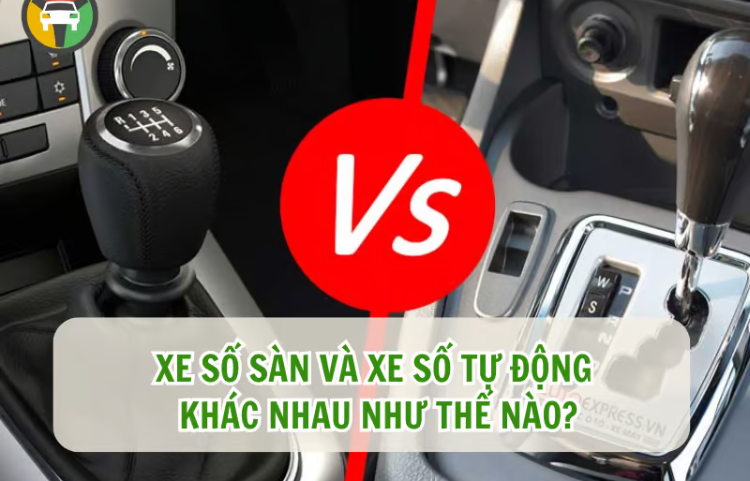 Các dòng xe số tự động phổ biến hiện nay: Nên chọn loại nào?