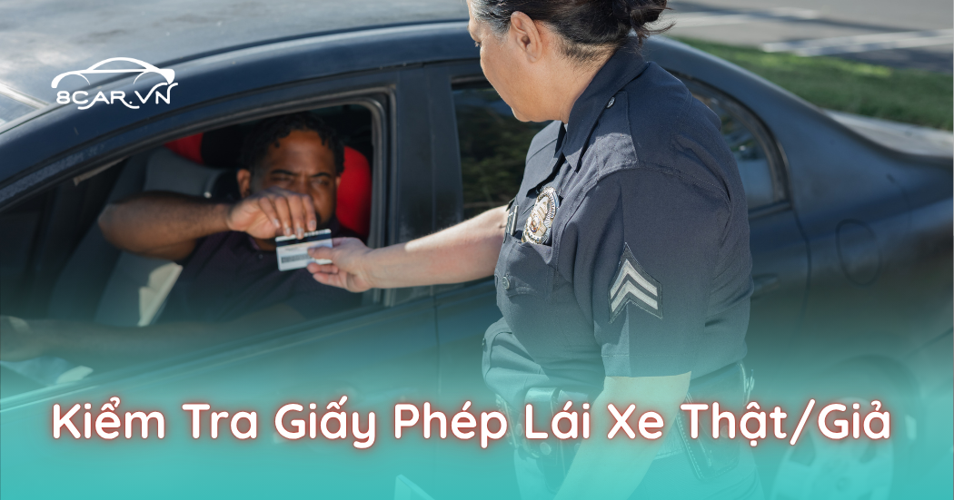 Cho Thuê Tự Lái Có Thể Bị Phạt Nếu Giao Xe Cho Người Không Đủ Điều Kiện Lái Xe