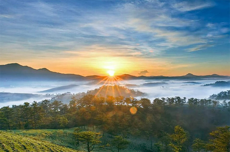 Bài viết: Top 20 địa điểm du lịch Đà Lạt gây thương nhớ nhất 2026